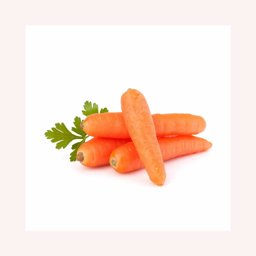 सस्ते छोटे सब्जी बीज बोने की मशीन गाजर मैनुअल बोने की मशीन के लिए सबसे अच्छा बेच गाजर हाथ धक्का प्याज सस्ते कीमत बिक्री