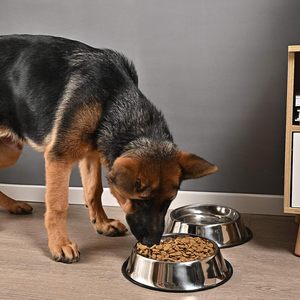Vente en gros de gamelles en acier inoxydable antidérapantes pour chien Mangeoire pour animaux domestiques Bol pour chat résistant à la mastication en vrac disponible pour les revendeurs - Product Image 3