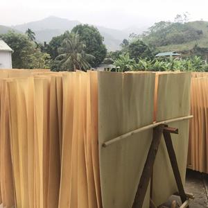 La mejor oferta de Vietnam eucalipto/Acacia core chapas para madera contrachapada de la venta caliente - Product Image 4