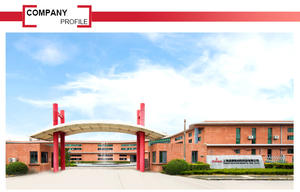 गर्मी अस्वीकृति ओमट फोटोइलेक्ट्रिक यूव प्रूफ गोपनीयता संरक्षण अनुकूलन योग्य सूर्य छत नामित पैटर्न फिल्म - Product Image 5