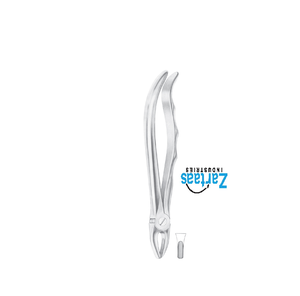 Fórceps de extracción de acero inoxidable de alta calidad laterales superiores y caninos Fig 1 exportadores y fabricante - Product Image 6
