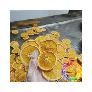 Naranja seca natural pura con aroma dulce Deliciosas rodajas de naranja Perfectas para bebidas de té Postres Catering y venta al por menor - Product Image 5