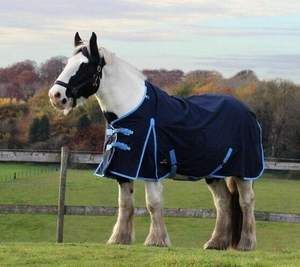 Tapis de participation pour chevaux léger sans remplissage Standard Neck Waterproof - Product Image 1