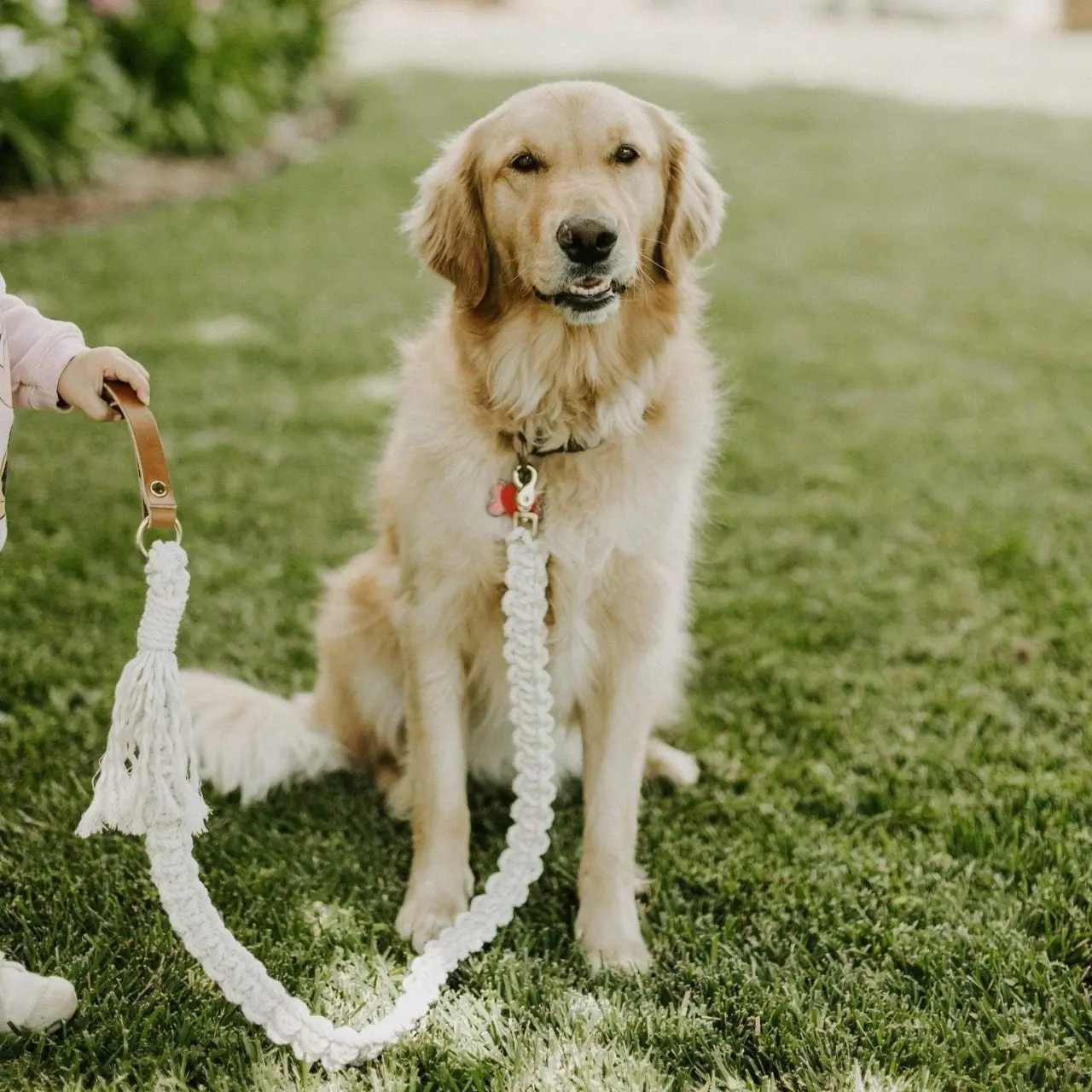 Paracord köpek tasması benzersiz kişiselleştirilmiş özel kenevir el yapımı Pet yaka doğal pamuk köpek tasması