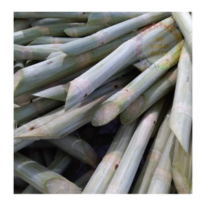 Tallos de caña de azúcar congelados al por mayor-Granja-Frescos, convenientemente empaquetados para restaurantes, cafeterías y distribuidores - Product Image 2