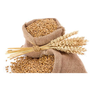 Grain de blé biologique de haute qualité en vrac aliments séchés de nutrition entière à vendre - Product Image 4