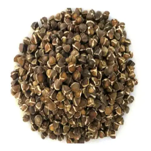 PKM1 Moringa/Oleifera-Samen für die Ölgewinnung/den menschlichen Verzehr/die gesundheit lichen Vorteile der philippi nischen Farm