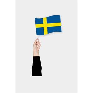 Bandera de Mano de Suecia Personalizable 3x5 pies, de Nylon, Plástico, Poliéster, Seda, Bandera para Coche con Impresión Digital, Estilo Bandera para Uso Educativo - Product Image 6