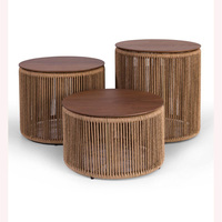 Table basse minimaliste en rotin et bois haut de gamme, élégante et robuste, le complément parfait aux espaces de vie élégants