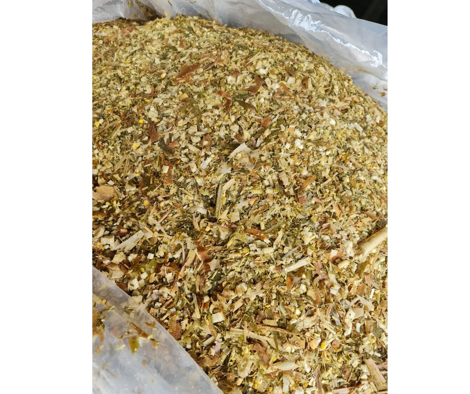 Maize Silage Feeding/ Fermented Corn Silage/ Dried Corn Silage For Animal Feed - High Quality Good Price For Sale