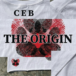 T-shirt personnalisé DTF 250 GSM 100% Coton, Coupe Boxy Tendance, Vente en Gros, Qualité Supérieure, Doux et Respirant - Product Image 3