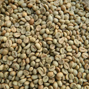 60kg Vietnam Robusta yeşil kahve çekirdekleri-Vietnam higland gelen yüksek kaliteli Robusta kahve iyi fiyat