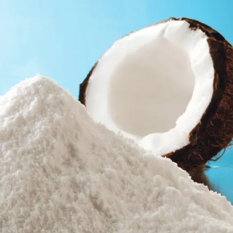 Kualitas tinggi susu kelapa bubuk ekstrak buah kelapa bubuk kelapa