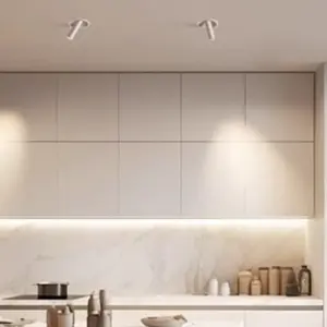 ไฟดาวน์ไลท์แบบฝังเพดาน Nexora 12W ปรับระดับได้ ชิป LED Cob โครเมียมอะลูมิเนียม แสงวอร์มไวท์ 4000K 3000K 3CCT IP65 อัตโนมัติ สำหรับโรงแรมภายในอาคาร - Product Image 4