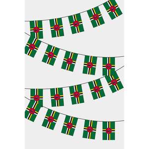 Party <b>Banners</b> Dominica Rectangular Flag Bunting - Product Image 1