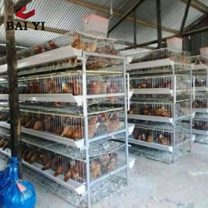 Katman tavuk H tipi <span class=keywords><strong>120</strong></span> kuşlar için yeni pil kafes galvanizli tel dayanıklı uzun ömürlü - Product Image 6