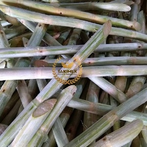 Caña de azúcar congelada de alta calidad de Vietnam, palo de caña de azúcar, materias primas frescas para alimentos, ISO, frutas saludables para cocinar y beber - Product Image 2