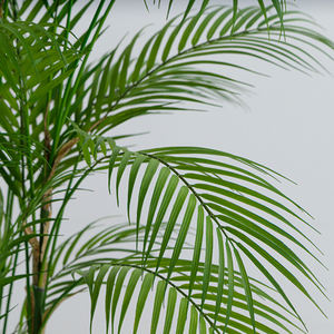 Plantas artificiales de lujo para interiores/exteriores, venta al por mayor, pared de salón, árbol decorativo, árbol de lujo para exteriores, vegetación - Product Image 2