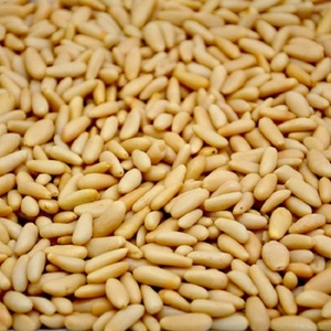 Best Quality Organic Hot Selling Sweet <b>Pine</b> Nuts Kernels For Sale - Product Image 1