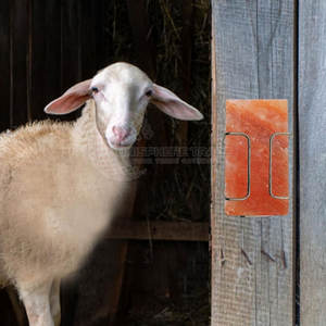 Briques et carreaux de sel de l'Himalaya sculptés de haute qualité Meilleure vente de sel naturel de l'Himalaya pour une santé optimale - Product Image 3