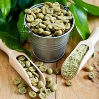 Grains de café vert Robusta biologique S18 de haute qualité, export direct de l'usine TNFOOD du Vietnam