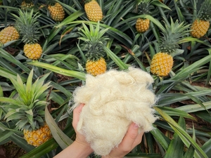 Produits durables en fibre d'ananas les plus vendus au Vietnam à des prix compétitifs - Product Image 6
