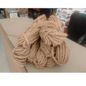 Corde de coco naturelle durable à partir de cosse de noix de coco utilisée pour l'emballage de liage de jardin de soutien de plante et les applications décoratives rustiques - Product Image 1