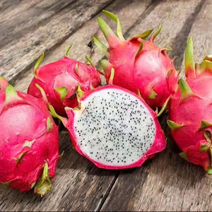 Productos frescos de fruta de dragón estrella más brillante vietnamita ahora aterrizando en Singapur - Product Image 1