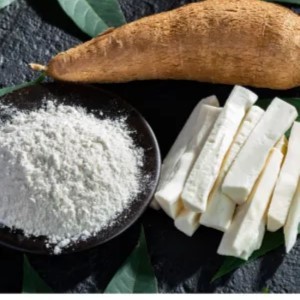 POLVO DE YUCA ORGÁNICO PREMIUM/SUSTITUTO DE HARINA DE ALMIDÓN DE TAPIOCA/LISTO PARA USAR PARA COCINA DE PANADERÍA Y MERCADOS DE EXPORTACIÓN - Product Image 4