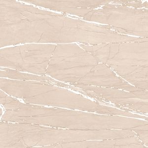 ยกระดับโปรเจกต์ของคุณด้วยกระเบื้องพอร์ซเลนขนาด600x600มม. จากอินเดียกระเบื้องคุณภาพดีดีไซน์ทันสมัย - Product Image 2