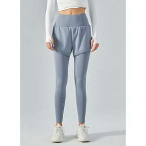 Palisandro irlandés 4 Parte 26 Flauta de nivel de estudiante Flauta D irlandesa con estuche - Product Image 2