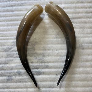 Vente en gros de grandes cornes de bœuf - Paire de cornes spirales et torsadées de style animal, polies à la main, écologiques, achat en gros, prix économiques - Product Image 1