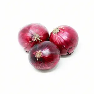 Healthy Wholesale fresh onion