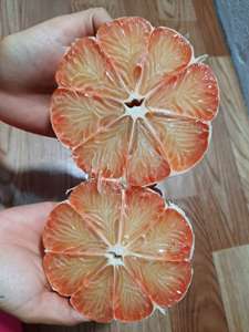 Fournisseur de pamplemousse frais de première qualité 100% / Prix compétitif Pomelo surgelé Mme Sophie - Product Image 5