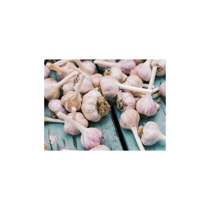 Ajo fresco a precio económico, listo para exportar, con entrega rápida y aroma intenso - Product Image 1