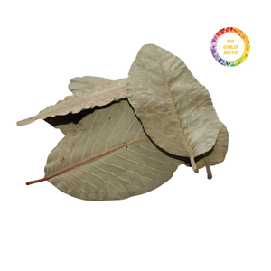 Dried Guava Leaves High-Grade Herbal Drink Bulk Commodity Vietnam Supplier - Product Image 1