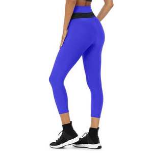 Vêtements de sport actifs, vêtements de fitness, vente en gros, leggings et ensembles de soutien-gorge pour femmes, ensemble de yoga uni sans couture - Product Image 6