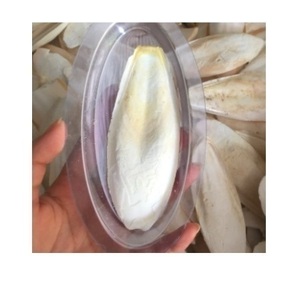 Os de seiche prêts à exporter - Product Image 1