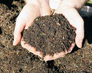 Engrais organique en poudre de fumier de chèvre naturel Indigo Organics, origine Tamil Nadu, fabriqué à Triplicane Chennai, durée de conservation de 24 mois - Product Image 1