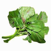 PURA HOJA DE AMARILLO CONGELADA NATURAL A BASE DE PLANTAS APOYO INMUNE ETIQUETA LIMPIA SUPERALIMENTO VEGETAL - Product Image 5