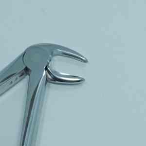 Pince d'extraction dentaire en acier inoxydable de haute précision Instruments chirurgicaux pour enlever les dents manuelles pour les cliniques et les hôpitaux - Product Image 4