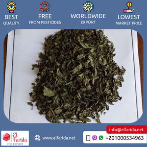 ขายส่งเปปเปอร์มินต์คุณภาพเยี่ยมจากอียิปต์ ใบมินต์ ผงมินต์บด และผงสกัดมินต์ - Product Image 6