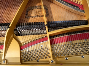 เปียโนแกรนด์ Kawai รุ่น 350 88 คีย์ คีย์บอร์ดไม้แท้แบบถ่วงน้ำหนัก สไตล์คลาสสิก สำหรับมืออาชีพ แบบตั้งพื้น - Product Image 4