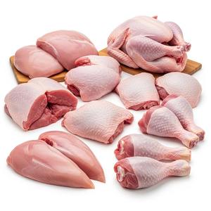 Carne de pavo congelada, cortes enteros y en porciones para distribución al por mayor, servicio de alimentos, venta al por menor y uso industrial - Product Image 5