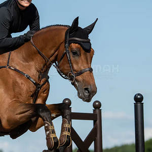 หมวกครอบหูตาข่ายแบบนิ่มสำหรับม้าหมวกครอบหูสำหรับม้า2025แบบออกแบบได้ตามต้องการ - Product Image 6