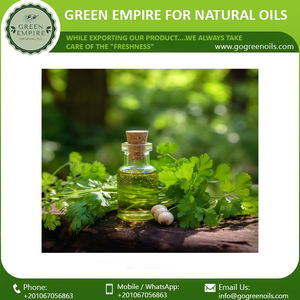 Aceite esencial de semilla de perejil de Venta caliente a precio de fábrica aceite de semilla de perejil para aromaterapia cosmética Useter - Product Image 2