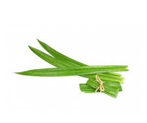 ใบพานดันแช่แข็ง IQF คุณภาพดีจากเวียดนาม สดใหม่ตามธรรมชาติ พร้อมส่งออก/ คุณคานะ - Product Image 3