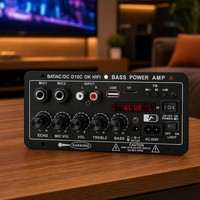 Amplificateur audio karaoké Creatall D10C 120W, carte amplificateur numérique double micro AC 220V 12V 24V pour haut-parleur de 8 à 12 pouces