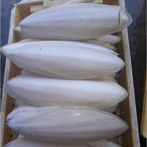 Blanc biologique sans produits chimiques Os de seiche pour l'alimentation des oiseaux disponible - Product Image 1