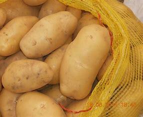Premium Quality <b>Fresh</b> Sweet <b>Potatoes</b> Bright Yellow Flesh Round Pattern Taste From Austria Vienna - Product Image 2